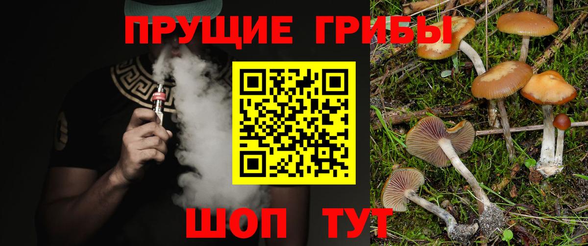 Галлюциногенные грибы ЛСД  Вход с VPN  Галлюциногенные грибы GOLDEN TEACHER  где купить наркоту  Чебаркуль 